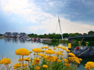 Stölting Harbor in Gelsenkirchen Bismarck im Juli 2021