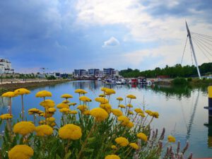 Stölting Harbor in Gelsenkirchen Bismarck im Juli 2021
