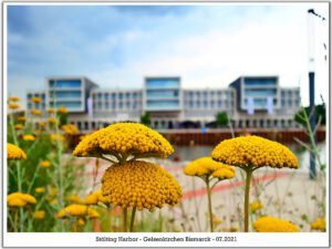 Stölting Harbor in Gelsenkirchen Bismarck im Juli 2021