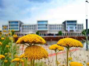 Stölting Harbor in Gelsenkirchen Bismarck im Juli 2021