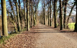 Schloss Lüttinghof - Gelsenkirchen-Hassel - 02.2023